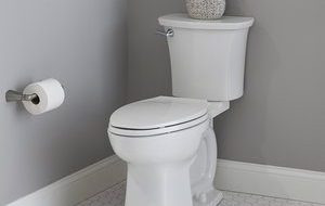 b-edgemere-elongated-toilet-2